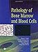 Pathology of Bone Marrow and Blood Cells