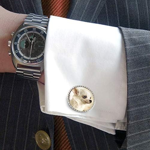 Miniatura 2 de Perro Chihuahua cachorro Gemelos