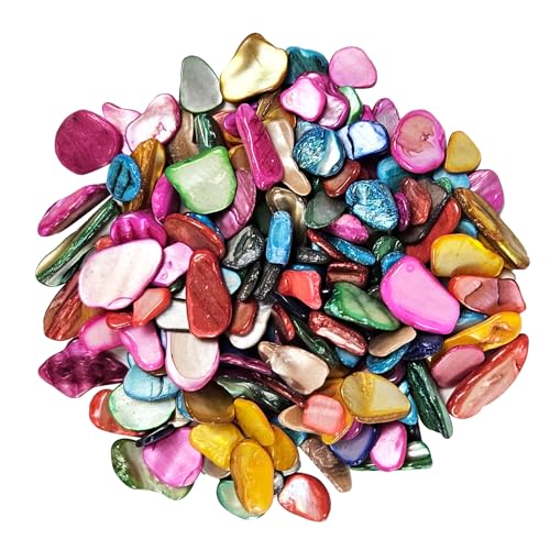 EDSRDUS Natural Crushed Shells Chips Irregular Mother of Pearl Seashell Fragments Sea Shell Pieces for DIY Crafts, Vase Filler, Decorating, Home Décor