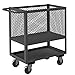Durham 4SLT-EX1836-5PO-95 4 Sided Mesh Low Deck Truck, 2 Shelves