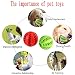 OUOQI Hundespielzeug Ball,2er Pack Kauspielzeug aus Naturkautschuk,Hundeball mit Zahnpflege-Funktion,Naturgummi Hund Feeder Ball,Bissfestes Hundespielzeug,Für kleine Hunde (5cm)
