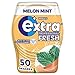 Extra Professional Fresh Kaugummi, Melon Mint, 50 Dragees Professional günstig Kaufen-Extra Professional Fresh Kaugummi, Melon Mint, 50 Dragees