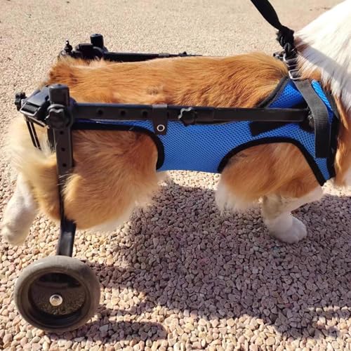 Fauteuil roulant pour petit chien et chariot pour animaux paralysés des pattes arrière