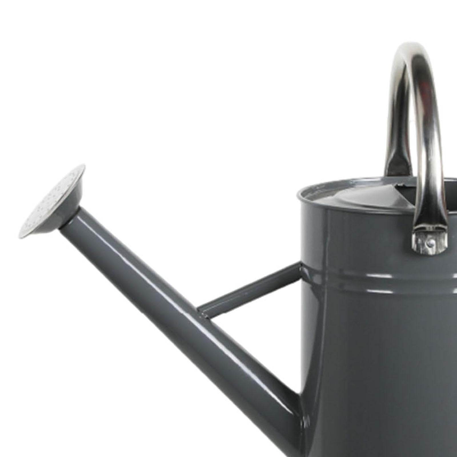 Generic Gießkanne Aus Metall mit Abnehmbarem Ausguss, Rostfrei, Komfortabler Griff, Großes Fassungsvermögen, Auslaufsicher, Kraftsparend, Feiner Sprü, Grau