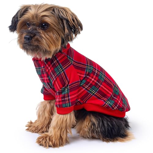 Ropa térmica para mascotas Rocky ideal para paseos invernales con perros XXS 3