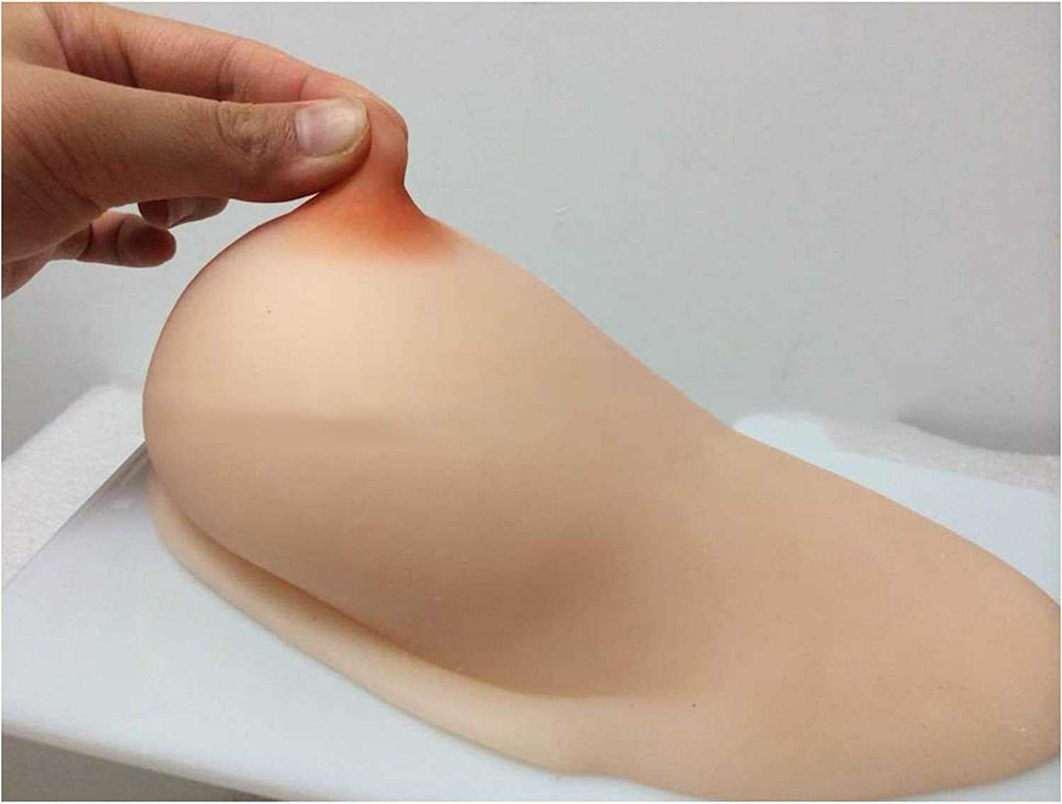 Weiblich Brust Anatomisch Modell -Silikon Brust Simulieren Modell - zum  Unterrichten von Prolaktin-Massage und Stillen fr stillende Frauen,Studenten,  rzte : Amazon.de: Drogerie & Krperpflege