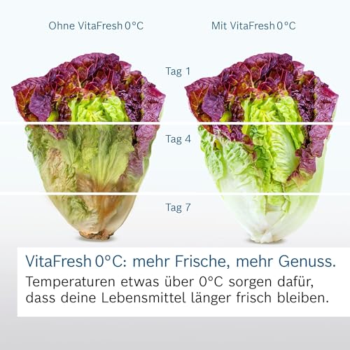 Bosch Kühl-Gefrier-Kobination 203 x 60 cm, Serie 4, KGN392LAG, 260 L Kühlen & 103 L Gefrieren, Total No Frost, längere Frische mit VitaFresh XXL, Extra leise, konstante Temperatur, Metall-Optik – Bild 5