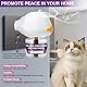 Pheromone Katzen Diffusor Kit, Fördert Wohlbefinden & Verhaltensunterstützung, Calming Diffuser Katze Anti Stress Beruhigendes（1 Diffusor + 3 Nachfüllen à 48 Ml） (1 Diffusor + 3 Nachfüllen)