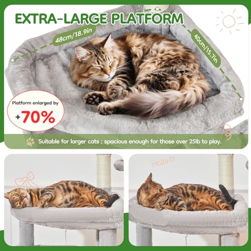 Image of Taoqimiao MS042W Cat Tree,66-inch Large Cat Tower with Scratching Posts, Luxurious Large Platform for Big Cats with Soft Hammock, Adjustable Basket, Deluxe Cat Cando, Top Perch Light Gray