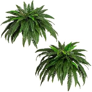 Nearly Natural 48-in Artificial Boston Fern, Set of 2, Large Hanging Fake Plant Wall Decor with 67 Fronds, Faux Fern Vines that Look Real for Home and Office Decor