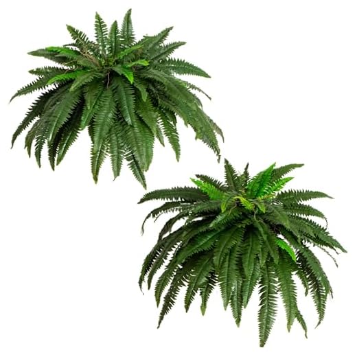Nearly Natural Potted or Hanging Artificial Boston Fern | Fake Plant, Green, 48 Inch, Set of 2