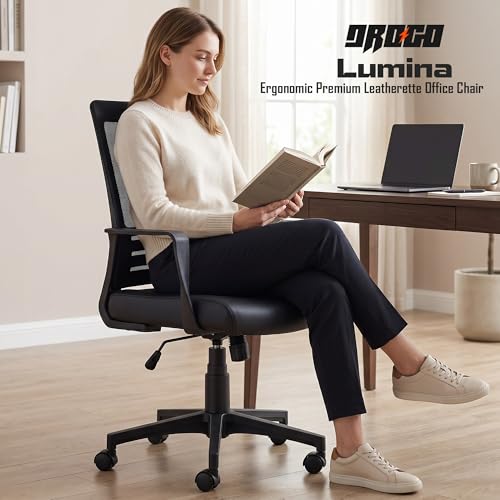 Image of DROGO Lumina Ergonomic Premium Leatherette Office Chair for Work at Home, Computer Chair with Fixed Armrest, Height Adjustable Leather Seat, Rocking, Breathable Mesh & Curve Lumbar Support (Black)