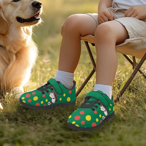 Boys Girls Lightweight Sports Sneakers Kids Animal Running Shoes Breathable Comfort Walking Shoes with One Strap US 11-154