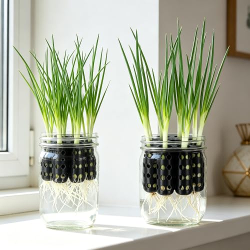 2 Pack Green Onion Planter Scallion Grower Seed Sprouting Kit Compatible with Regular Mouth Mason Jar for Windowsill Garden,Hydroponics,and Propagation Hydroponics Enthusiasts (Black) for Outdoor Use - Image 4