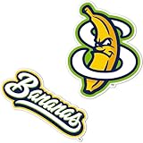 Desert Cactus Savannah Bananas Sticker Decal Vinyl Baseball Laptop Water Bottle Car Scrapbook (Type 4 inch C)