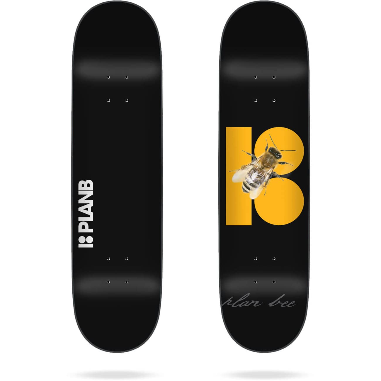 PLAN B Patinaje de Chasis Marca Unisex Adulto