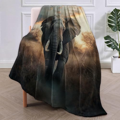 Couverture éléphant douce en polaire cadeau idéal pour passionné de nature - 3