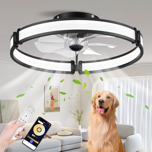 BAYSQUIRREL Ceiling Fans with Lights and Remote, Low Profile Ceiling