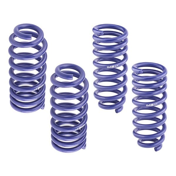 Amazon.com: H&R 29061-2 Lowering Springs : Automotive