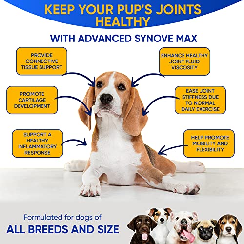 Synove Max Soft Chews for Dogs (240 Count) Beef Flavor, Joint Supplement, Glucosamine, Turmeric, Boswelllia serrata, Creatine Naturally Derived Ingredients better than synovi g4 soft chew