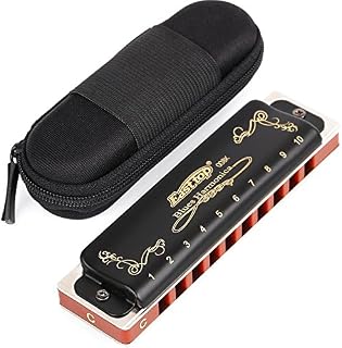 Harmonica Key of C 10 Hole 20 Tone Harmonica C Blues with Case