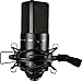 MXL 770 Condenser Microphone for Podcasting, Singing, Home Studio Recording, Gaming & Streaming | XLR | Large Diaphragm | Cardiod (Black)