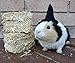 Crochet Witch Hats for Guinea Pigs, Bunnies, Hamsters, Chinchillas, Cats, and Other Small Pets I Guinea Pig Small Pet Costume