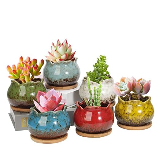Laerjin Succulent Pots, 4 Inch Ceramic Plant Pots and Drainage Hole with Bamboo Tray, Colorful Flower Planter Pot, Pack of 6 (Plants Not Included)