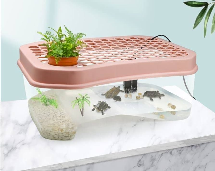 25th カメックス ガブリアス ドンファン3枚セット Amazon | カメ用水槽 大きい カメ 水槽 亀の水槽 亀 脱出防止