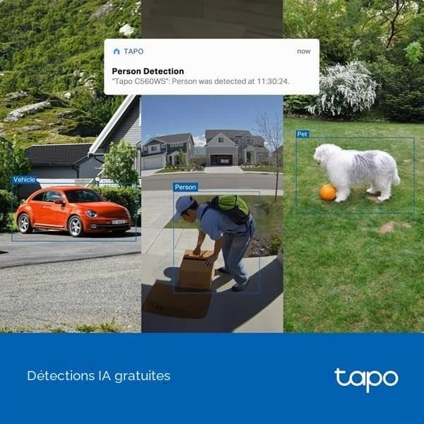 TP-Link Tapo C560WS | Caméra de Sécurité Extérieure Wi-FI 6 4K 8MP | Détection Locale de Visage | Détection Humain/Animaux de Compagnie/Véhicule | Lumière stellaire Vision Nocturne Colorée | IP66