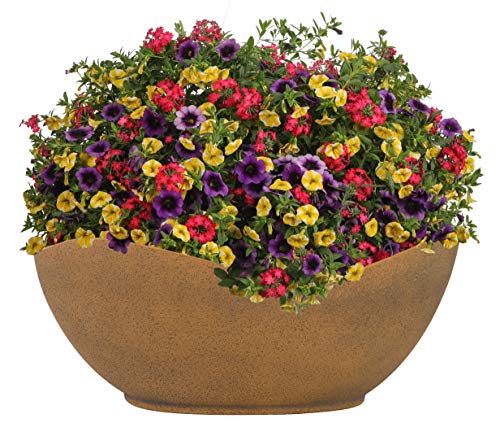 Classic Home And Garden Arc Pot 12" - Georgia Clay #TOP2