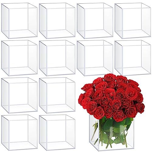 Dandat SES-DANDAT-4536 12 Pcs Acrylic Vases 5'' Clear Square Vases For Centerpieces Christmas Centerpieces For Tables Plastic Flower Vase Cube Flower Vase cover