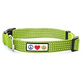 PawtitasTM Reflective Dog Collar M Green 3/4 Inch