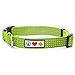 Pawtitas Reflective Dog Collar Large Green 1 Inch
