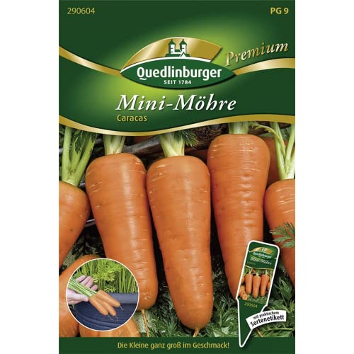 Mini-Möhre, Caracas NEU