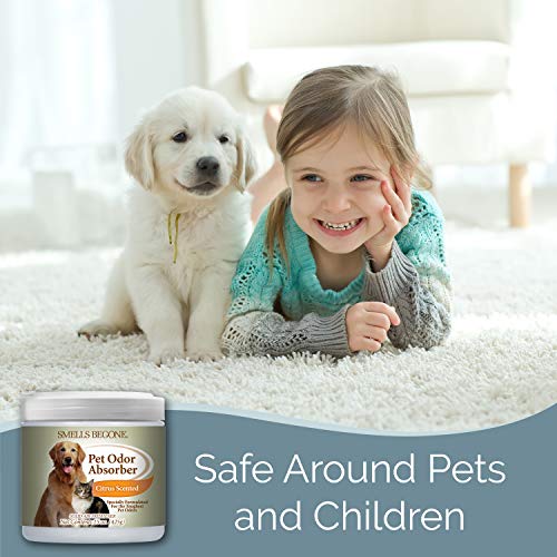 Smells Begone Air Freshener Pet Odor Absorber Gel - Made with Essential Oils - Absorbs and Eliminates Odor in Pet Areas, Bathrooms, Cars, & Boats - Citrus Scent - 15 Ounce - 2 Pack
