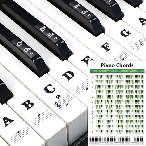 Teclados Piano 61 Teclas Marca HAFRILY