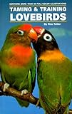 Taming and Training Lovebirds