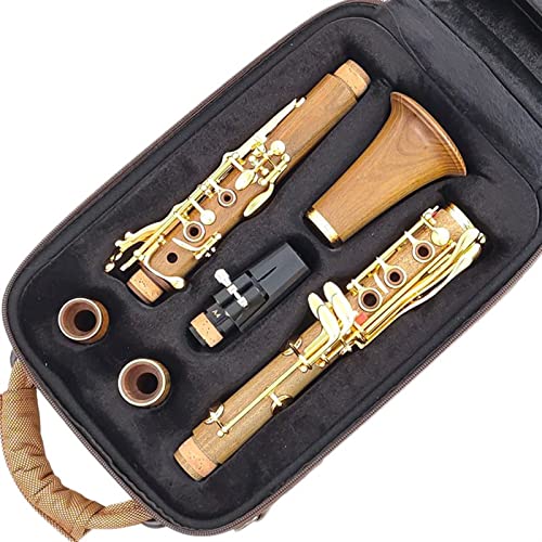 クラリネット 木製のプロのクラリネットBBゴールドメッキ鍵SIB Klarnet プロフェッショナルクラリネット