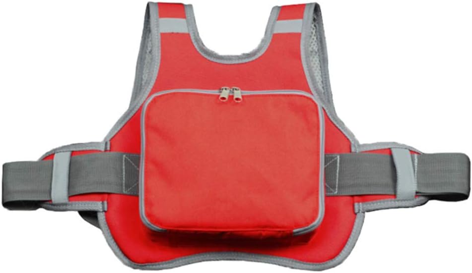 タンデムベルト バイク オートバイ用 リュックタイプ コンパクト 安全 収納 補助ベルト 子供用 ツーリング 子供 絶対一番安い レッド 家族 走行 親子 セーフティーベルト 二人乗り