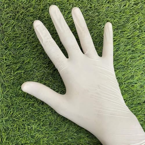 Image of Latex Gloves | 50 Pairs |(100 Pieces) 1 Box| Large | Disposable | Surgical | Non Sterile | Medical Examination | All-Purpose | Less Powdered | Cleaning|Ambidextrous