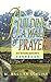 Building a Wall of Prayer: An Intercessor's Handbook
