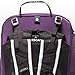 Osprey Tempest 20L Women's Hiking Backpack with Hipbelt, Violac Purple, WM/L