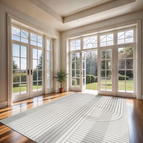 CAMILSON Modern 8x10 Swirl Micro Loop Rug