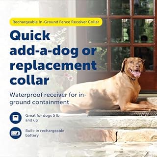 PetSafe Rechargeable In-Ground Pet Fence Receiver Collar for Cats and Dogs, Waterproof with Tone and Static Correction, Fits Pets 5 lbs and Up from The Parent Company of The Invisible Fence Brand