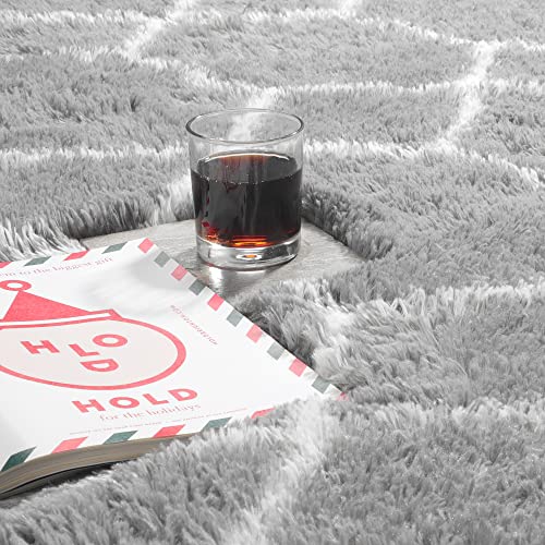 Bstluv Light Grey Rugs For Living Room,6X9 Large Soft Shag Cute Area Rug For Bedroom Aesthetic,Big Fuzzy Faux Fur Carpet For Boys,Kids,Girls Room,Playroom,Classroom,Nursery,Office,Fluffy Rug #TOP2