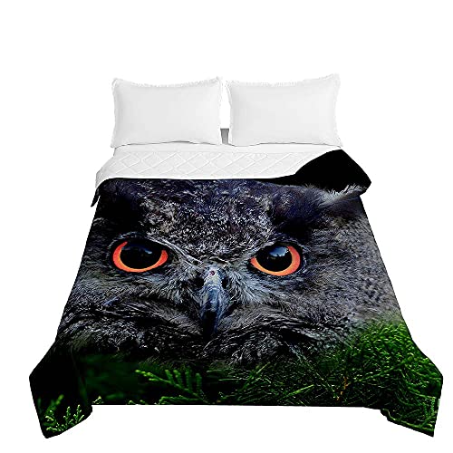 Chickw1 Tagesdecke Bettüberwurf Steppdecke, 3D Eule Drucken Tagesdecken mit Präge Wohndecke aus Mikrofaser Gesteppt Bettdecke für Einzelbett Doppelbett (Eule,230x260cm)