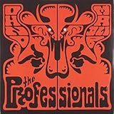 professionalisierungsmodell kosinar  The Professionals