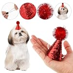 10 Pcs Dog Birthday Hats Cat Birthday Hat Multi-Color Cat Hats Mini Party Hats for Stuffed Animals Adjustable Headbands Birthday Hats for Kittens Rabbits Dogs Small Animals Friends