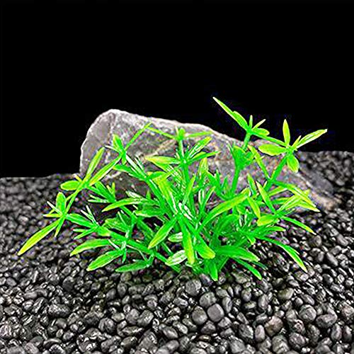 Image of Aquarium Plant Fish Tank Decoration 20 Pieces Small /1 inch Tall Plastic Artificial Plant Goldfish Hidden Mini Grass Set (Green-A)